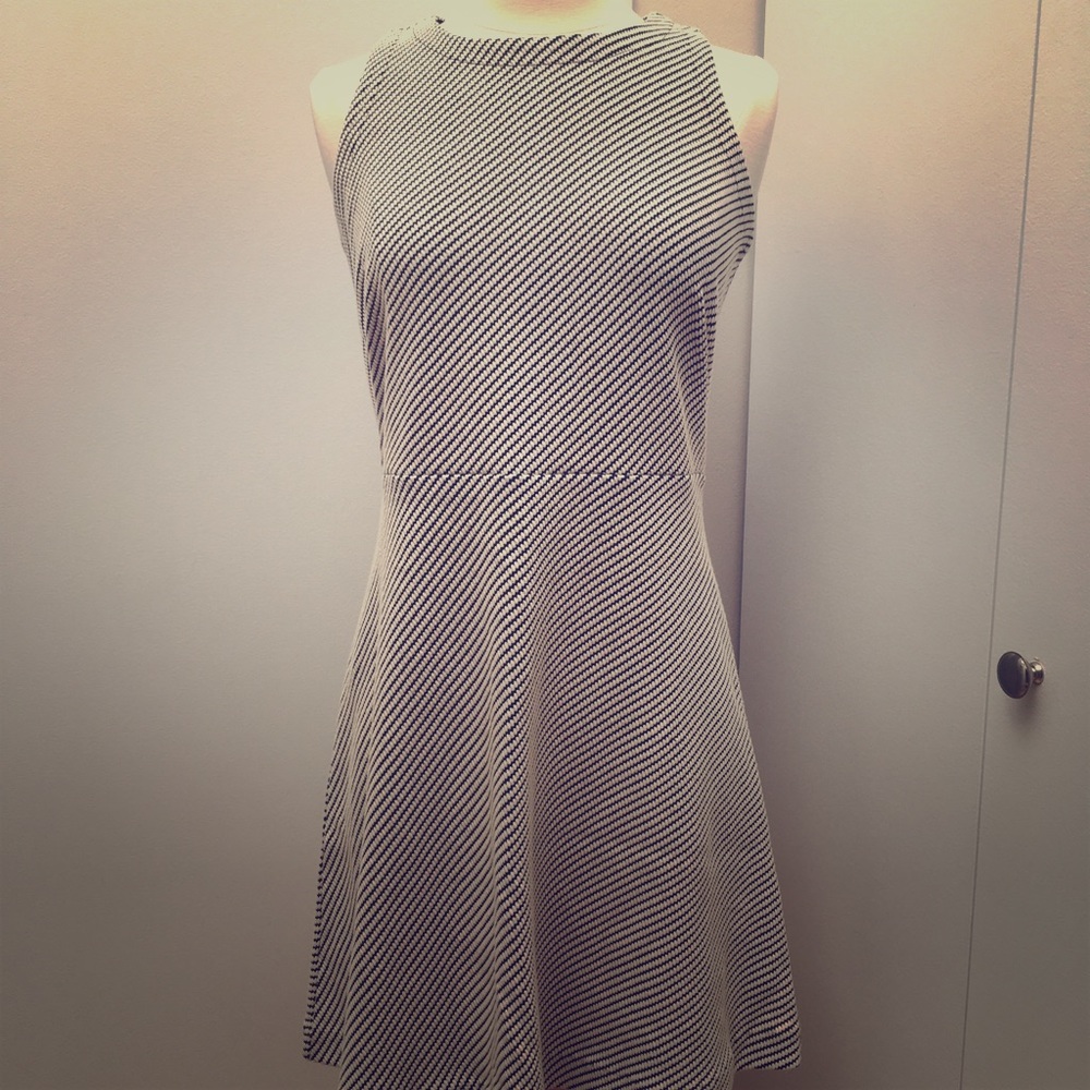 NWT Ann Taylor LOFT casual dress